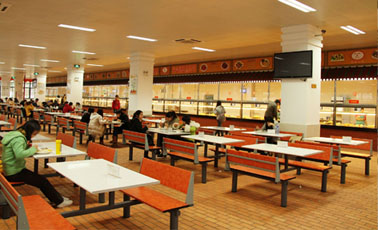 食堂承包经营管理